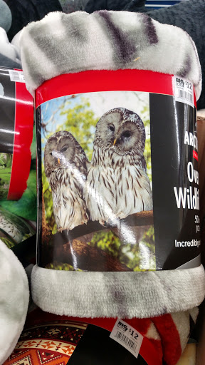 Discount Store «Big Lots», reviews and photos, 4233 Florida Ave S, Lakeland, FL 33813, USA