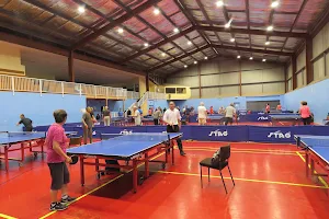 North Harbour Table Tennis Association image