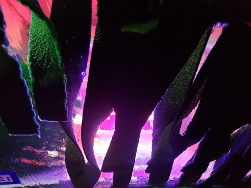 Car Wash «Quick Quack Car Wash - Spring Cypress», reviews and photos, 11921 Spring Cypress Rd, Tomball, TX 77377, USA