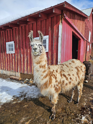 Bakers Acres Colorado