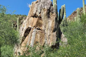 Sabino Canyon Recreation Area - Cactus Ramada 2 image