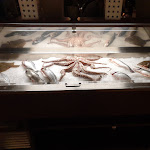 Photo n°3 de l'avis de Rita.o fait le 17/12/2019 à 09:32 sur le  Restaurant Mediterran bei Zoran à Abensberg