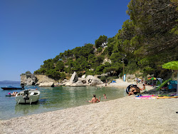 Foto av Borka beach med hög nivå av renlighet