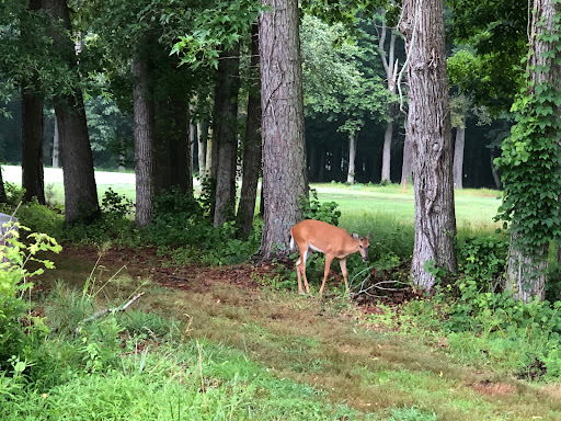 Golf Course «Great Hope Golf Course», reviews and photos, 8380 Crisfield Hwy, Westover, MD 21871, USA