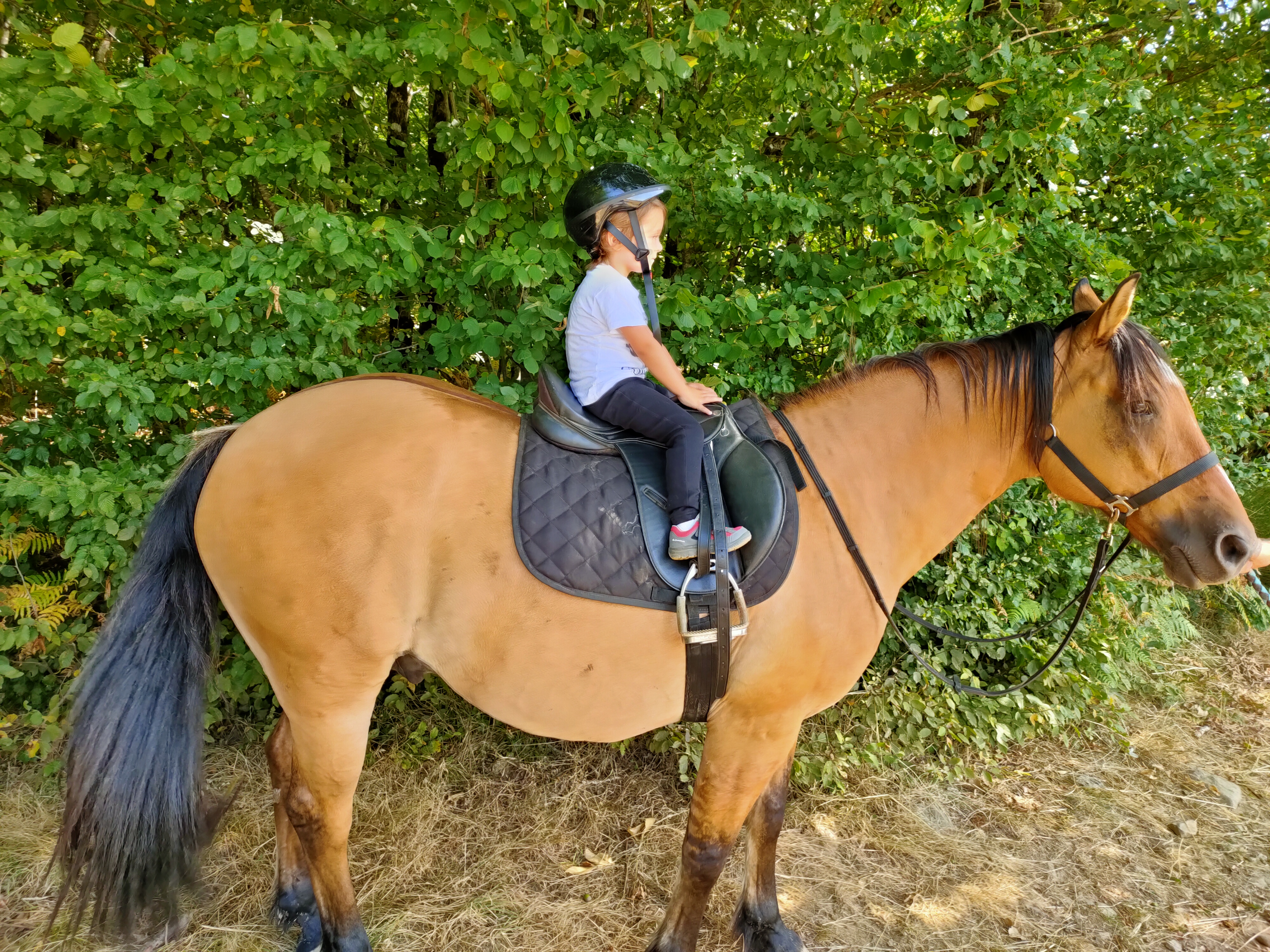 Photo n° 1 de l'avis de Yannick.h fait le 11/08/2020 à 15:40