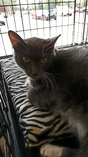 Pet Supply Store «Pet Supplies Plus», reviews and photos, 9 Waukegan Rd, Deerfield, IL 60015, USA