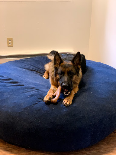 Pet Supply Store «Mud Bay», reviews and photos, 1018 164th St SE, Mill Creek, WA 98012, USA