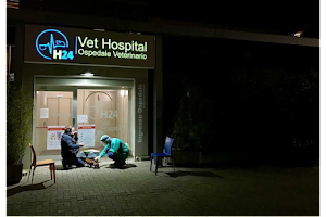 Vet Hospital H24 Firenze image