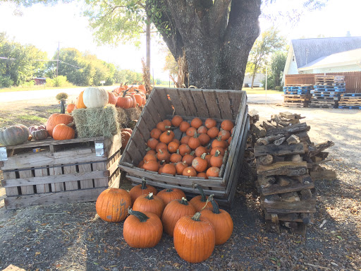 Produce Market «Fresh & Local Produce and Firewood», reviews and photos, 6573 N McDonald St, Melissa, TX 75454, USA