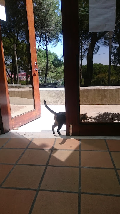 Centro de Recuperação de Animais Silvestres de Lisboa
