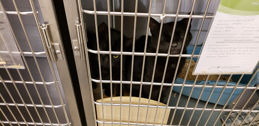 Pet Supply Store «PetSmart», reviews and photos, 45 Park Pl Dr, Covington, LA 70433, USA