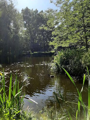 Karola Dittricha 1, 96-300 Żyrardów