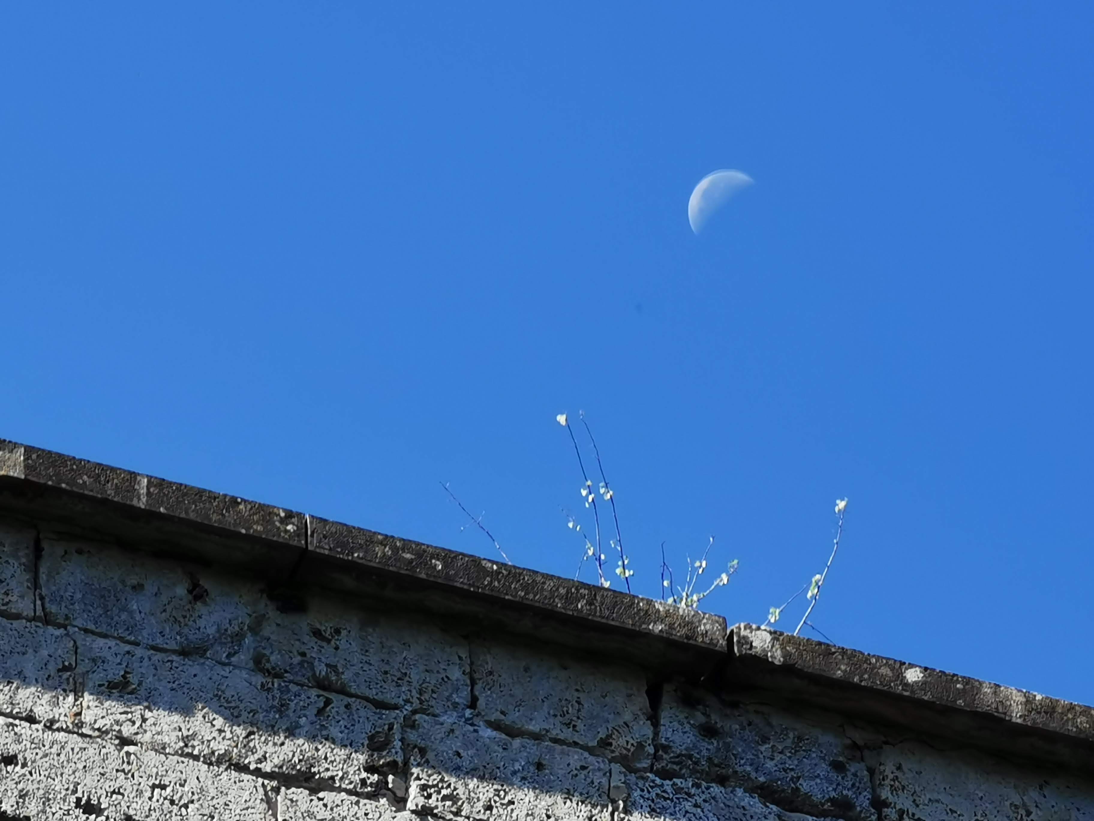 Photo n° 13 de l'avis de Christoph.o fait le 28/08/2019 à 20:28