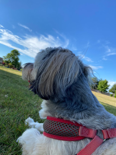 Pet Store «Fairwood Pet Center», reviews and photos, 14201 SE Petrovitsky Rd, Renton, WA 98058, USA