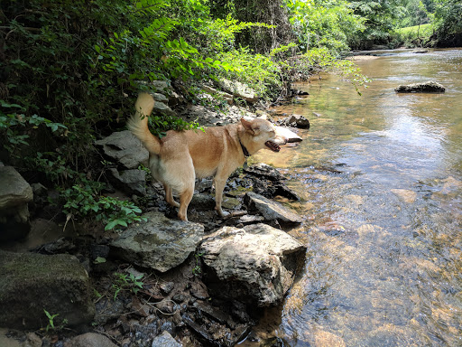 Golf Course «Chastain Park Golf Course», reviews and photos, 216 W Wieuca Rd NW, Atlanta, GA 30342, USA