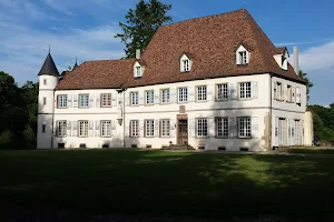 Château de Werde image