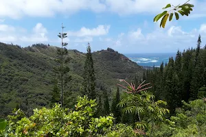 Hauʻula Loop Trail image