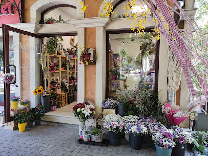 Flower Shop Lavender