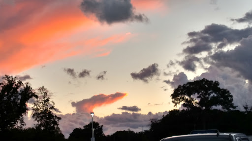 Grocery Store «Meijer», reviews and photos, 1223 Phoenix St, South Haven, MI 49090, USA