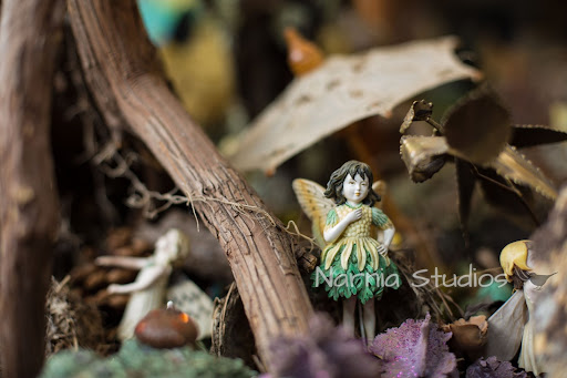 Florist «Narnia Studios», reviews and photos, 315 N Main St, Hendersonville, NC 28792, USA