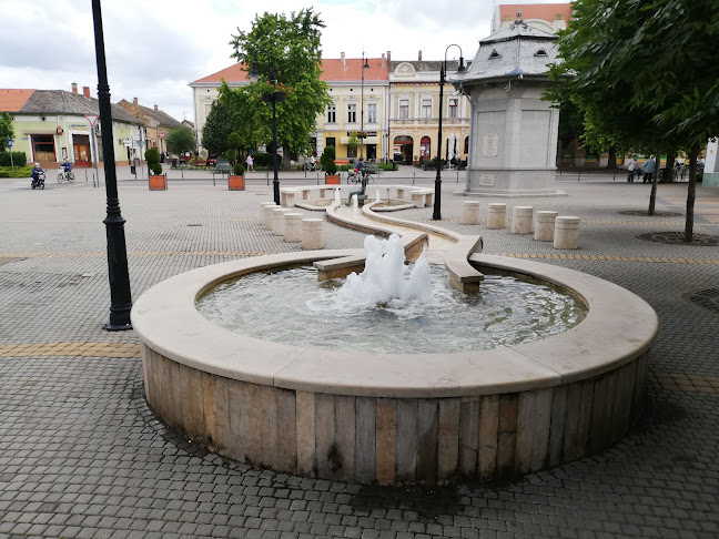 Hozzászólások és értékelések az Szil-Coop-ról