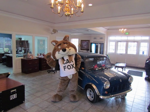 Car Dealer «Cars Unlimited», reviews and photos, 201 W Fletcher Ave, Tampa, FL 33612, USA