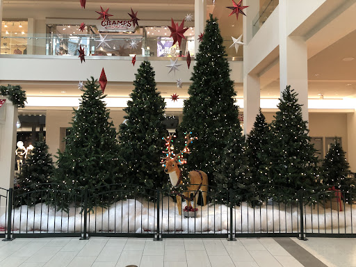 Shopping Mall «South Hills Village», reviews and photos, 301 South Hills Village, Pittsburgh, PA 15241, USA