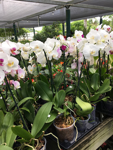 Produce Market «Nelson Family Farms», reviews and photos, 875 W Midway Rd, Fort Pierce, FL 34982, USA