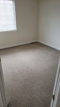 Oxi Fresh Carpet Cleaning