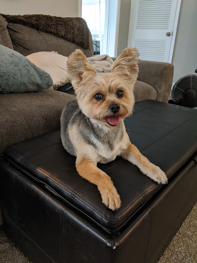 Pet Supply Store «PetSmart», reviews and photos, 2135 NJ-38 Ste B, Cherry Hill, NJ 08002, USA