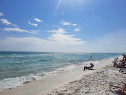 Zdjęcie Ed Walline Beach - popularne miejsce wśród znawców relaksu