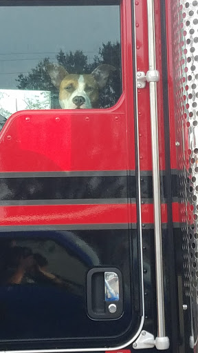 Bowling Alley «Jasper Bowling Center», reviews and photos, 270 AL-5, Jasper, AL 35503, USA