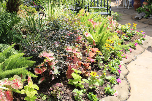 Florist «Tanglewood Flowers & Garden», reviews and photos, 5518 Dolores St, Houston, TX 77056, USA