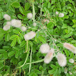 Photo n°3 de l'avis de Eveline. fait le 25/07/2020 à 17:48 sur le  Café Wilhelmshöhe Juist à Juist