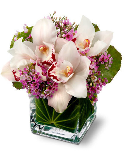 Florist «City Line Florist», reviews and photos, 2978 Nichols Ave, Trumbull, CT 06611, USA