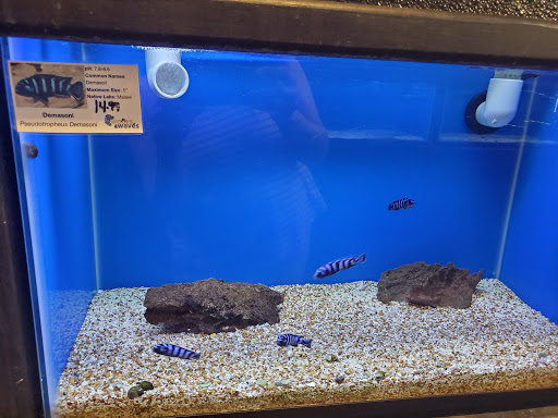 Pet Store «Woofs & Waves», reviews and photos, 5426 Arrowhead Pkwy E, Sioux Falls, SD 57110, USA