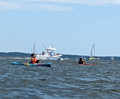 Art Museum «Annapolis Maritime Museum», reviews and photos, 723 2nd St, Annapolis, MD 21403, USA