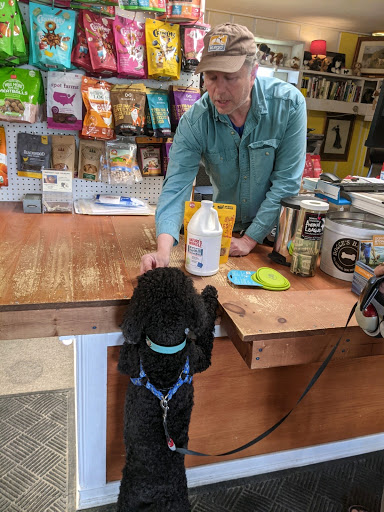 Pet Supply Store «The Dog and Cat», reviews and photos, 1056 Mountain Rd, Stowe, VT 05672, USA