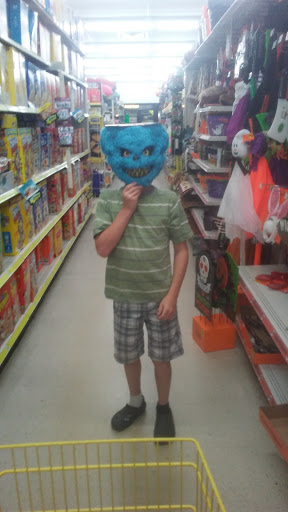 Discount Store «Dollar General», reviews and photos, 517 W Chicago Rd, White Pigeon, MI 49099, USA