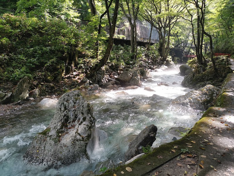 龍泉洞 清水川沿い遊歩道