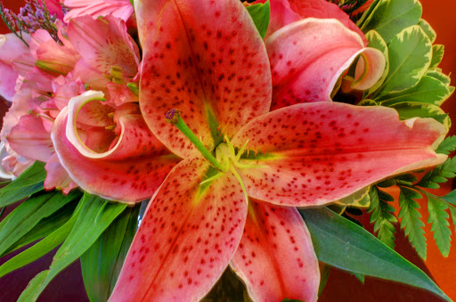 Florist «Red Mountain Florist, Inc.», reviews and photos, 6727 E McDowell Rd #105, Mesa, AZ 85215, USA