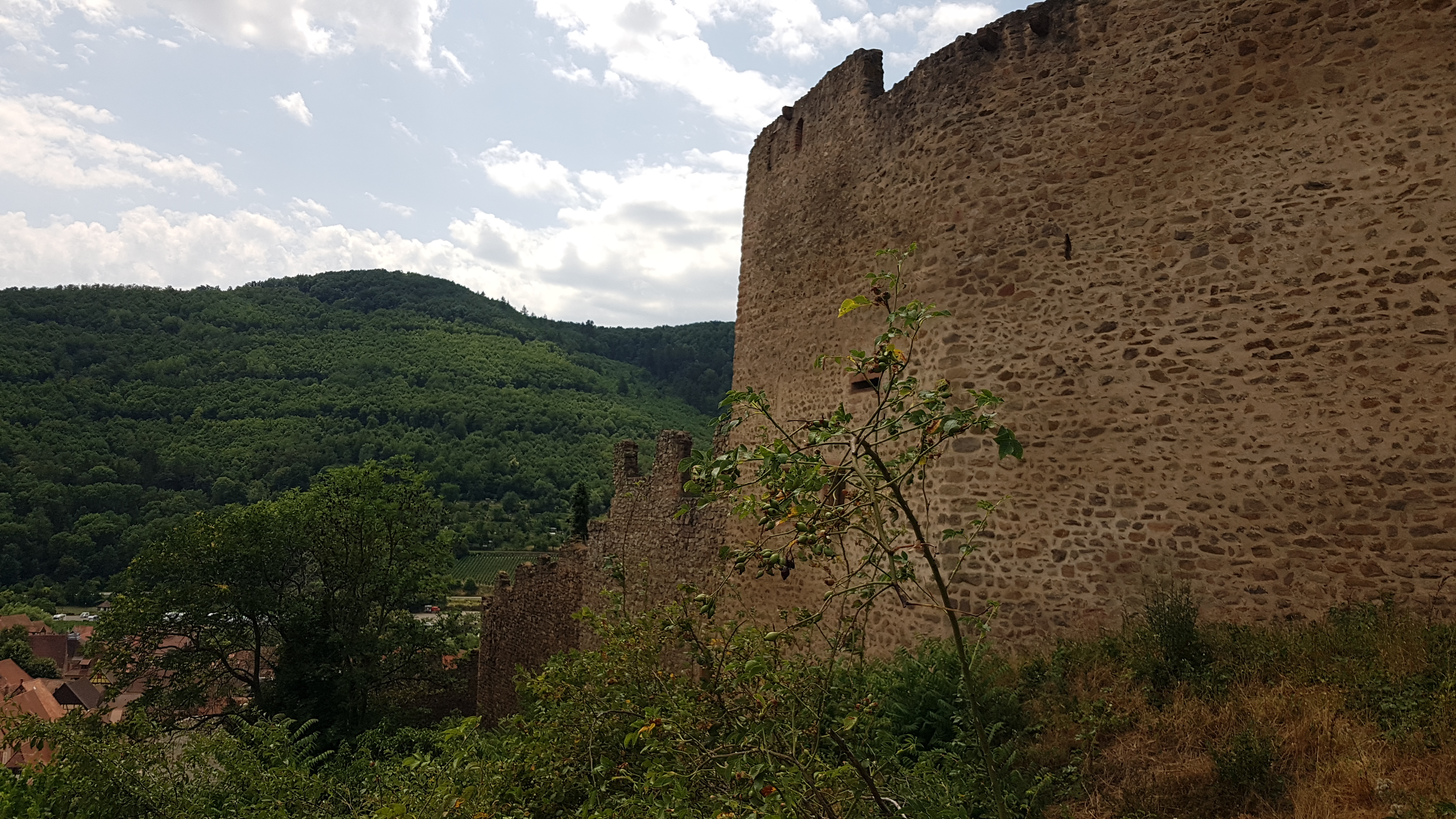 Photo n° 12 de l'avis de Joseph.r fait le 17/07/2023 à 15:59