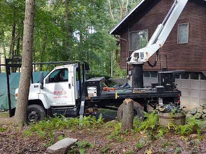 Buds Tree Removal