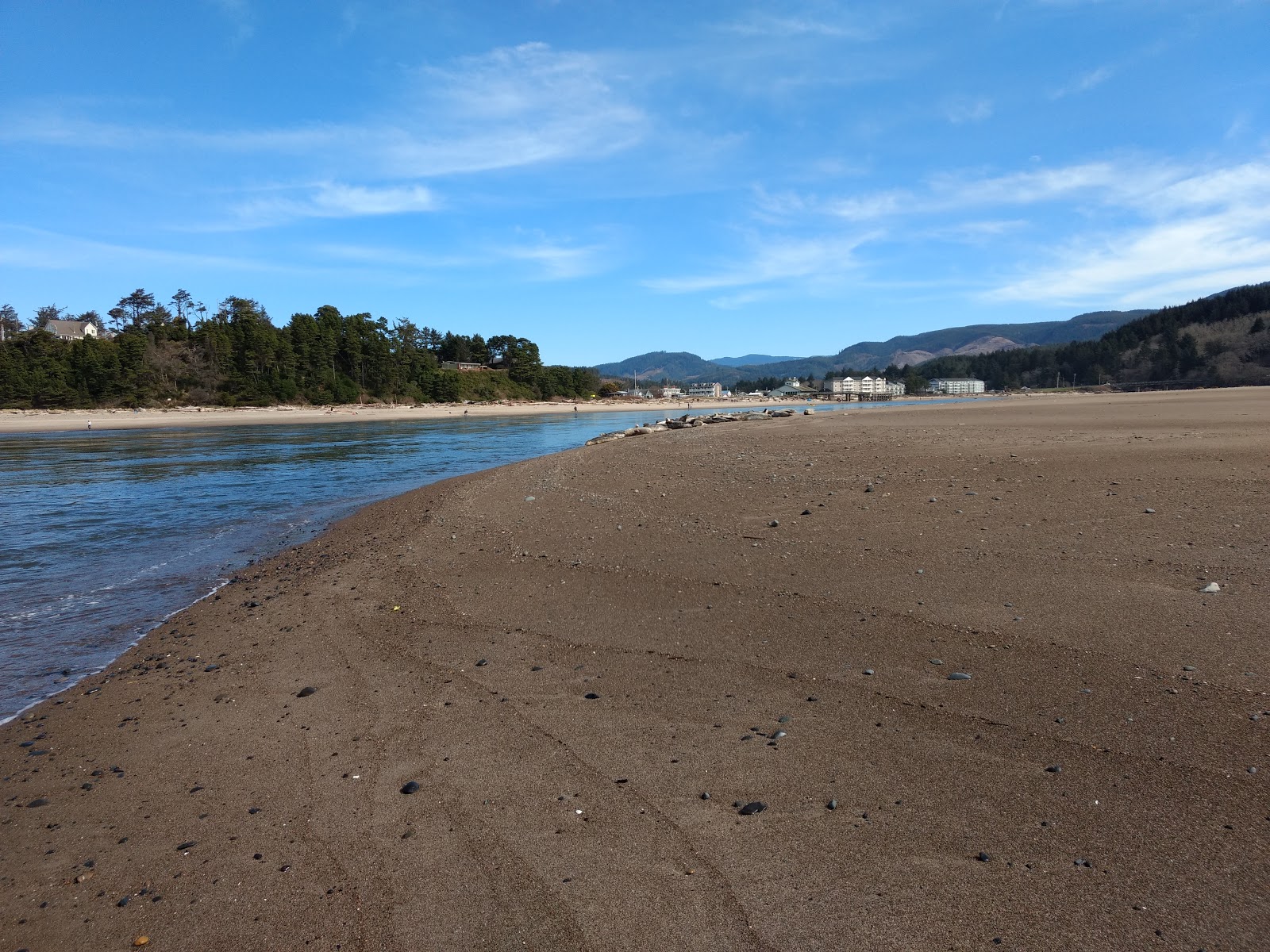 Photo of Salishan Beach with turquoise water surface