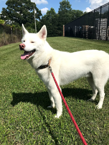 Home Improvement Store «Tractor Supply Co.», reviews and photos, 4601 E Grand River Ave, Howell, MI 48843, USA
