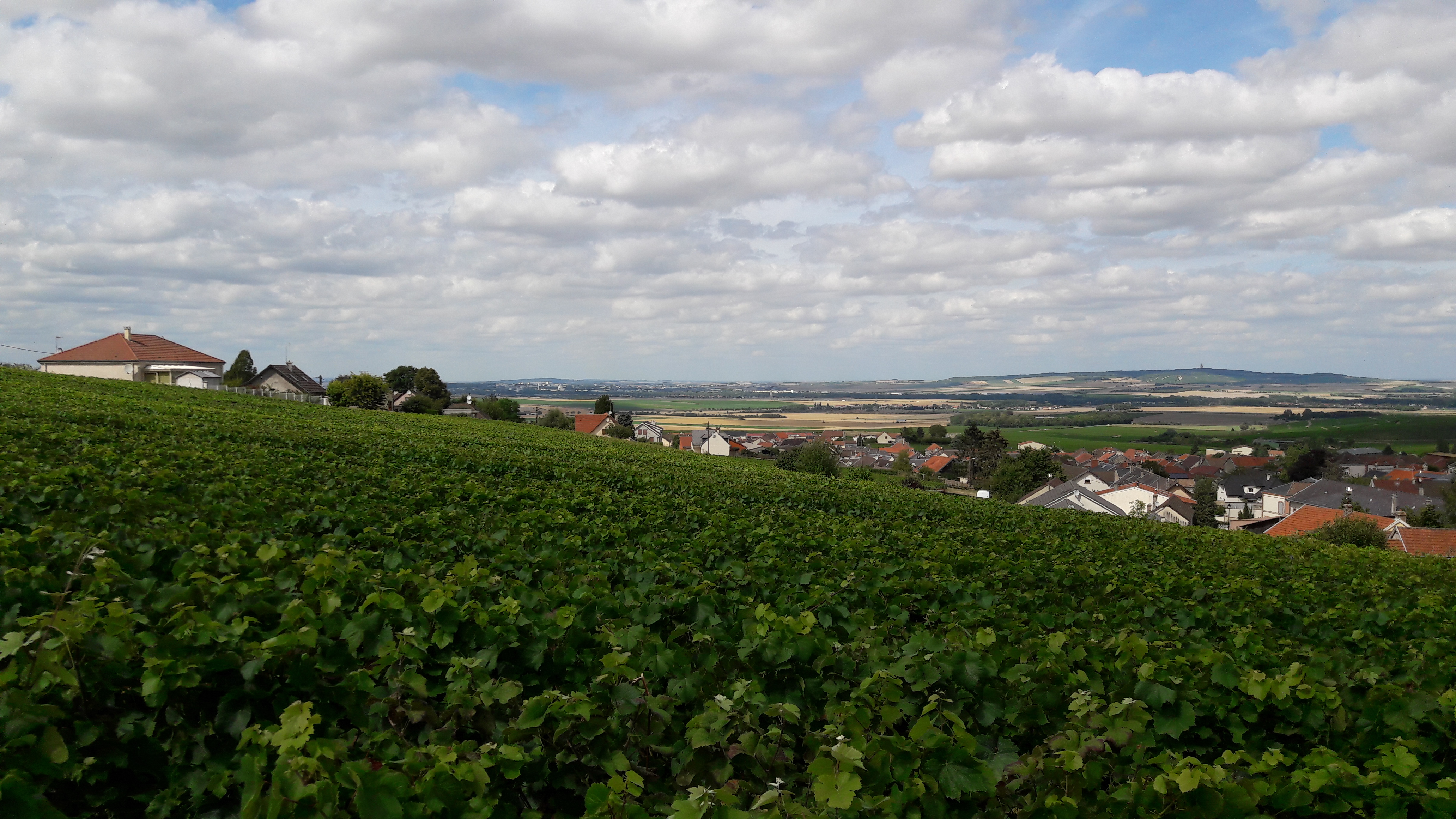 Photo n° 3 de l'avis de M.o fait le 17/08/2019 à 15:25