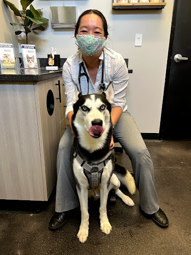 Pet Store «Market Street PET DEPOT», reviews and photos, 2979 S Market St, Gilbert, AZ 85295, USA