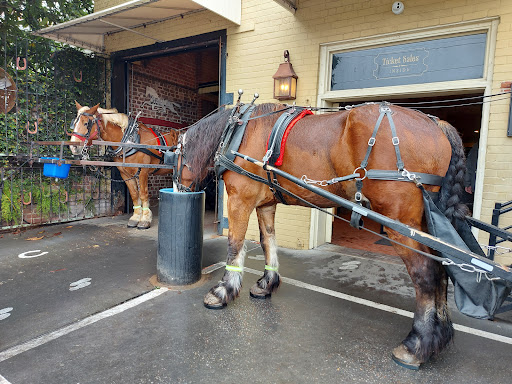 Historical Landmark «Historic Charleston City Market», reviews and photos, 188 Meeting St, Charleston, SC 29401, USA