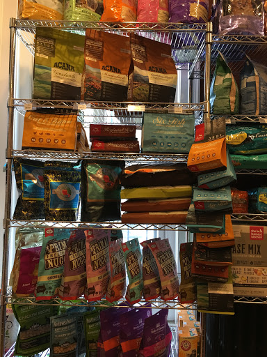 Pet Supply Store «The Fish & Bone, Boston MA», reviews and photos, 217 Newbury St, Boston, MA 02116, USA