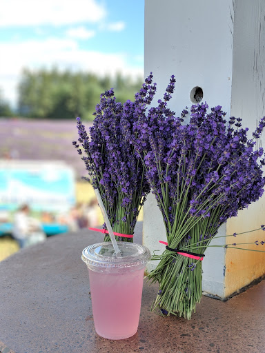 Farm «Oregon Lavender Farm», reviews and photos, 20949 S Harris Rd, Oregon City, OR 97045, USA